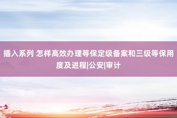 插入系列 怎样高效办理等保定级备案和三级等保用度及进程|公安|审计