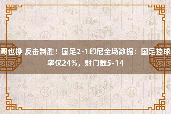 哥也操 反击制胜！国足2-1印尼全场数据：国足控球率仅24%，射门数5-14